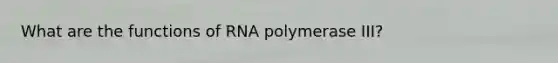 What are the functions of RNA polymerase III?