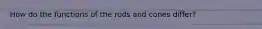 How do the functions of the rods and cones differ?