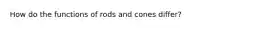 How do the functions of rods and cones differ?