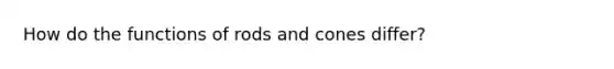 How do the functions of rods and cones differ?