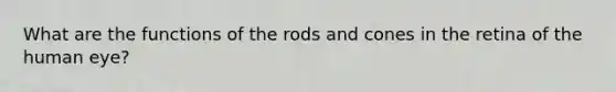 What are the functions of the rods and cones in the retina of the human eye?