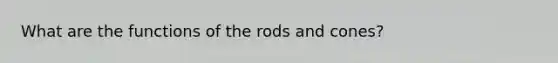 What are the functions of the rods and cones?