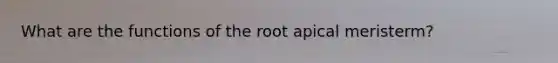 What are the functions of the root apical meristerm?