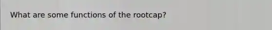 What are some functions of the rootcap?