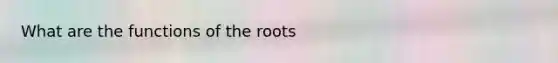 What are the functions of the roots