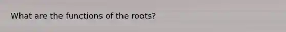 What are the functions of the roots?