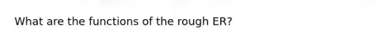 What are the functions of the rough ER?