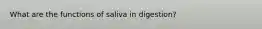 What are the functions of saliva in digestion?