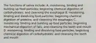 The functions of saliva include: A. moistening, binding and building up food particles; beginning chemical digestion of carbohydrates; and cleansing the esophagus B. moistening, binding and dissolving food particles; beginning chemical digestion of proteins; and cleansing the esophagus C. moistening, binding and building up food particles; beginning mechanical digestion of fats; and cleansing the teeth and mouth D. moistening, binding and dissolving food particles; beginning chemical digestion of carbohydrates; and cleansing the teeth and mouth