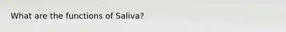 What are the functions of Saliva?