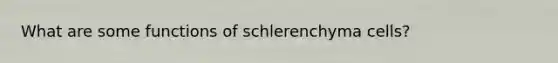 What are some functions of schlerenchyma cells?