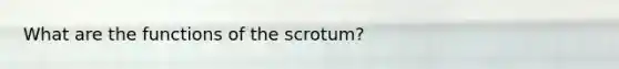 What are the functions of the scrotum?