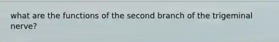 what are the functions of the second branch of the trigeminal nerve?