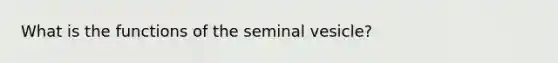 What is the functions of the seminal vesicle?