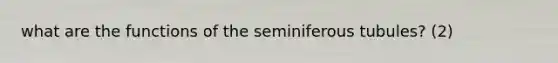 what are the functions of the seminiferous tubules? (2)