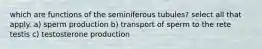 which are functions of the seminiferous tubules? select all that apply. a) sperm production b) transport of sperm to the rete testis c) testosterone production