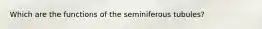 Which are the functions of the seminiferous tubules?