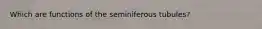 Which are functions of the seminiferous tubules?