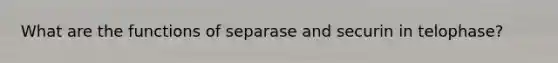 What are the functions of separase and securin in telophase?