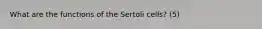 What are the functions of the Sertoli cells? (5)