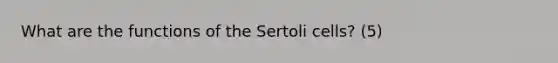 What are the functions of the Sertoli cells? (5)