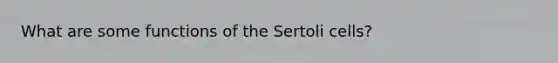 What are some functions of the Sertoli cells?