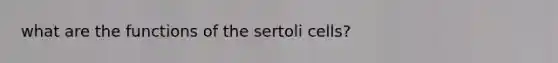 what are the functions of the sertoli cells?