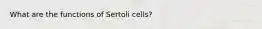 What are the functions of Sertoli cells?