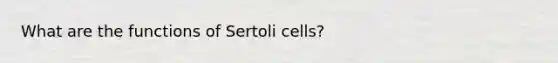 What are the functions of Sertoli cells?