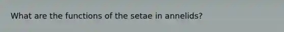 What are the functions of the setae in annelids?