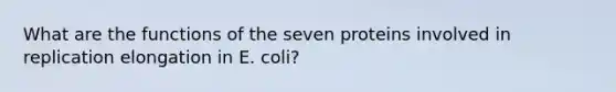 What are the functions of the seven proteins involved in replication elongation in E. coli?