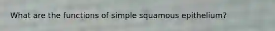 What are the functions of simple squamous epithelium?