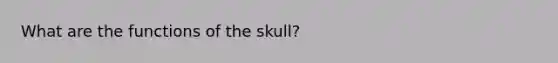 What are the functions of the skull?