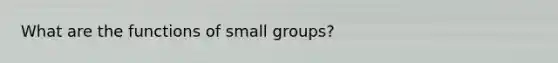 What are the functions of small groups?