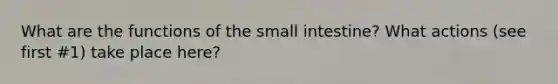 What are the functions of the small intestine? What actions (see first #1) take place here?