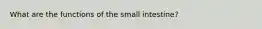 What are the functions of the small intestine?