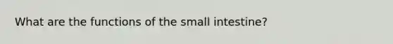 What are the functions of the small intestine?