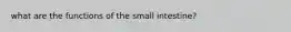 what are the functions of the small intestine?