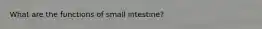 What are the functions of small intestine?