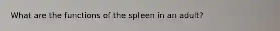 What are the functions of the spleen in an adult?