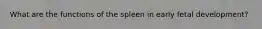 What are the functions of the spleen in early fetal development?