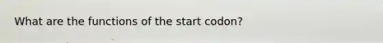 What are the functions of the start codon?