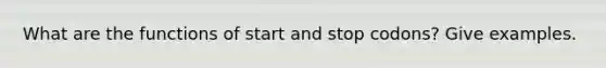 What are the functions of start and stop codons? Give examples.