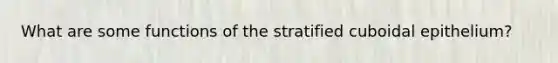 What are some functions of the stratified cuboidal epithelium?