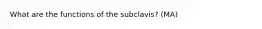 What are the functions of the subclavis? (MA)