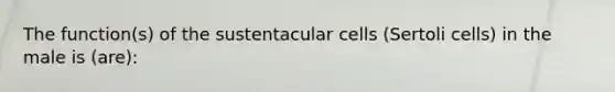 The function(s) of the sustentacular cells (Sertoli cells) in the male is (are):