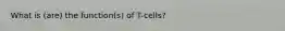 What is (are) the function(s) of T-cells?