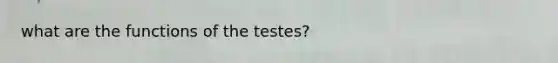 what are the functions of the testes?