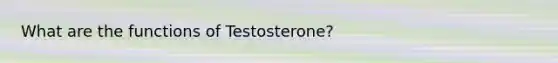 What are the functions of Testosterone?