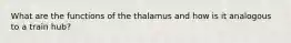 What are the functions of the thalamus and how is it analogous to a train hub?